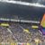 BVB gegen Homophobie