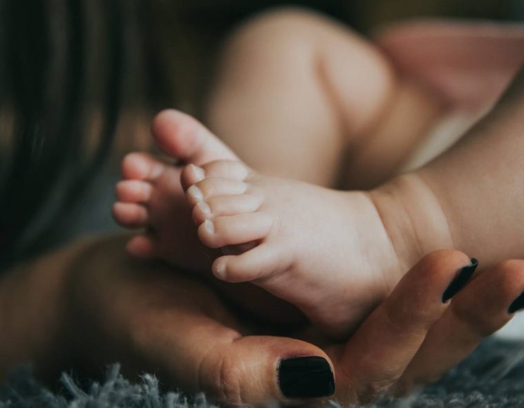 Abstammungsrecht Reform