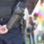 LGBTIQ Polizei