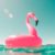 Pinkwashing