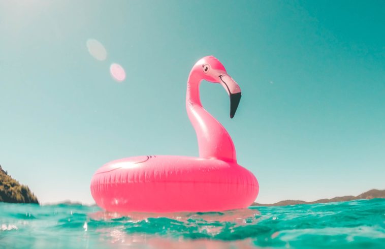 Pinkwashing