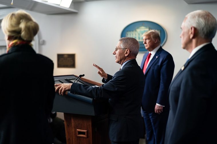 Anthony Fauci