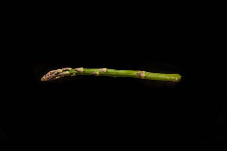 penis duenn spargel