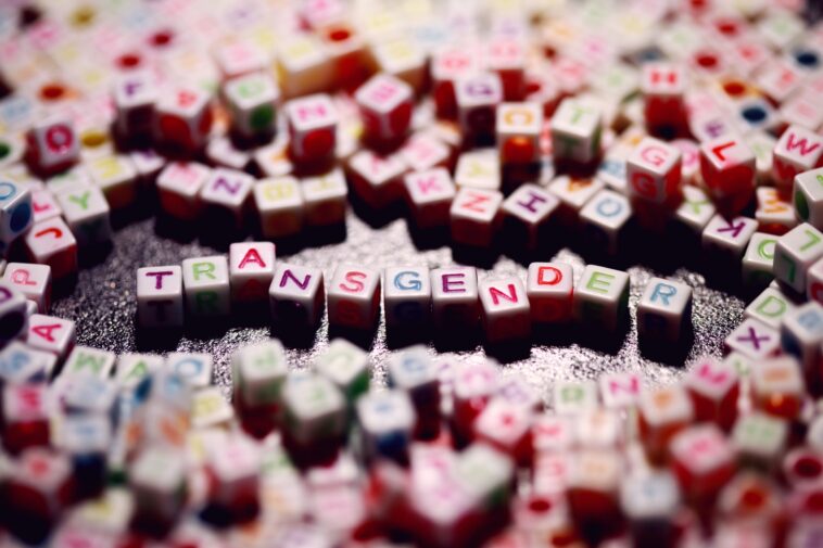 Trans Kinder