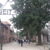 Auschwitz