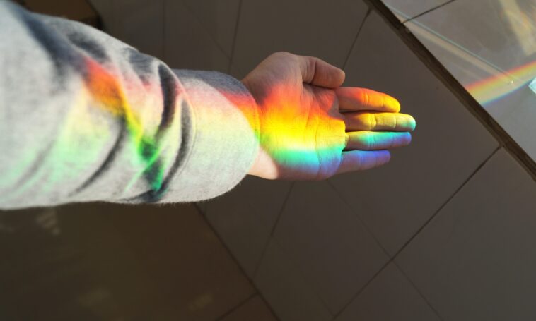 IDAHOBIT
