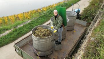 winzerin deutschland