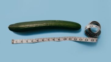 Penis