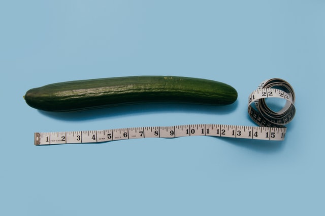Penis