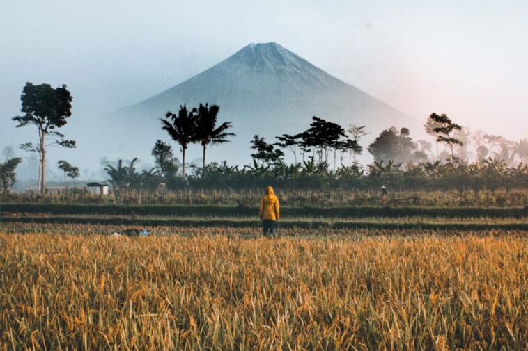 Freihandelsabkommen Indonesien
