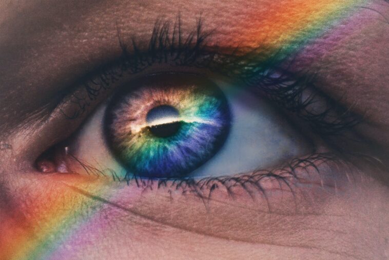 LGBTIQ in den Medien