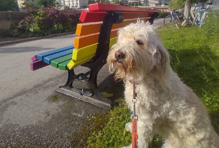 Regenbogenbank