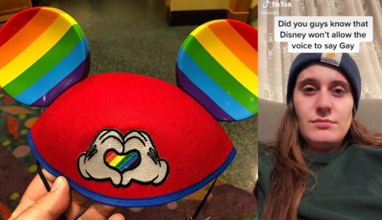 Disney Tiktok LGBTIQ-Zensur