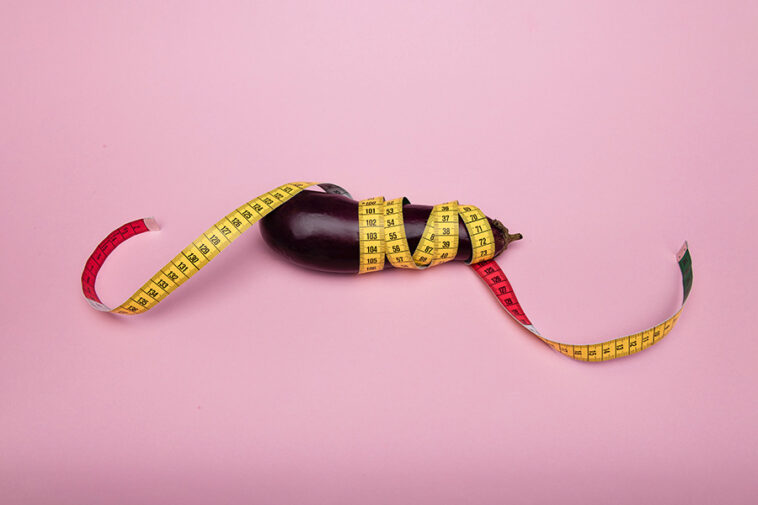 penis