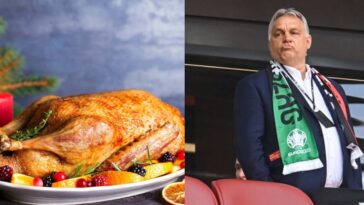 Viktor Orban Weinachtsgans Boykott