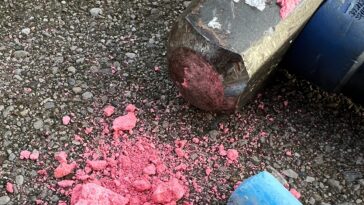 Trans Day of Remembrance