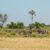 Okavango-Delta