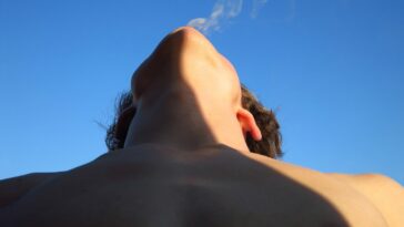 Sincerely, Walter Pfeiffer Kunstmuseum Luzern