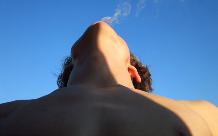 Sincerely, Walter Pfeiffer Kunstmuseum Luzern