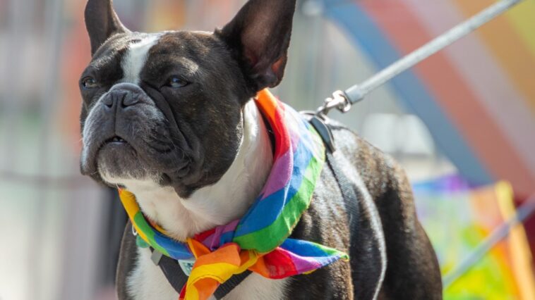 Queere Tiere Homosexualität im Tierreich