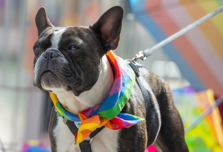 Queere Tiere Homosexualität im Tierreich