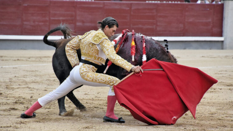 Mario Alcalde