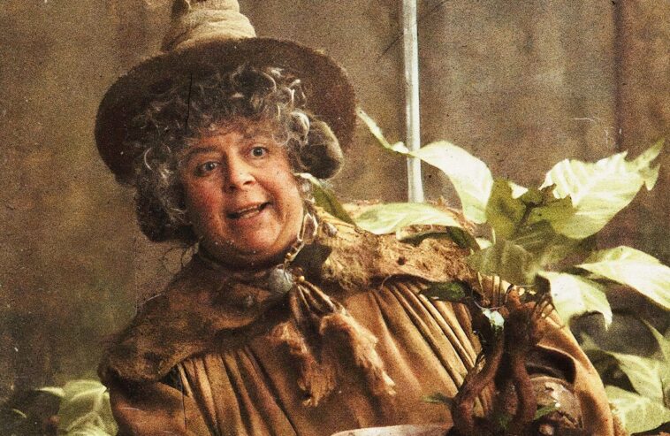 Miriam Margolyes